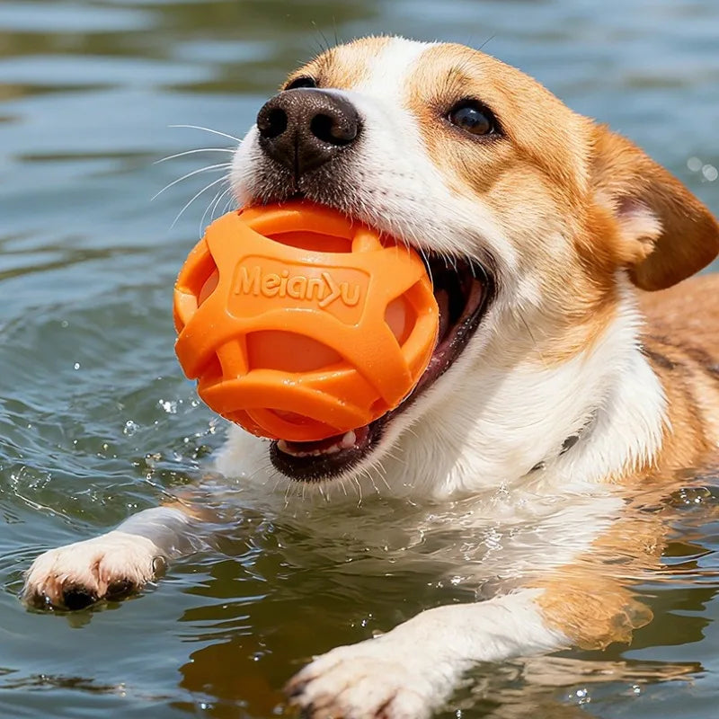 Hollow Elastic Chew Ball for Pets