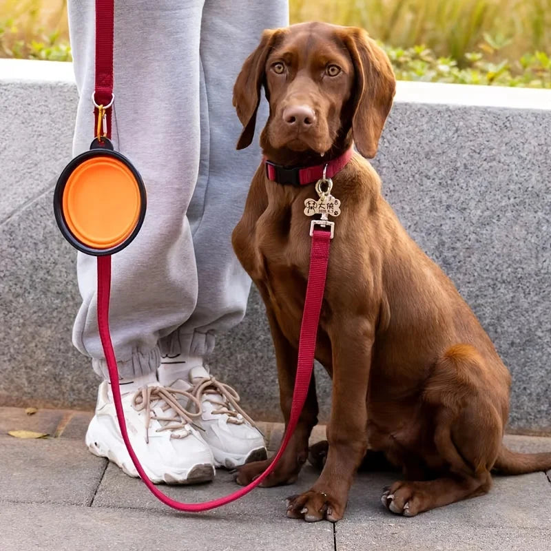 Portable Collapsible Pet Travel Bowl