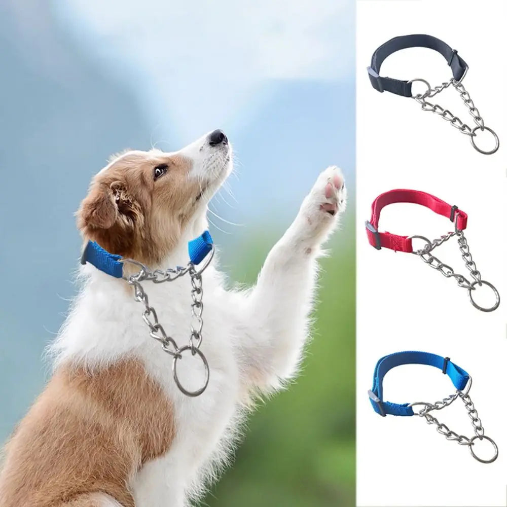 Nylon Slip Training Collar with Chain Link