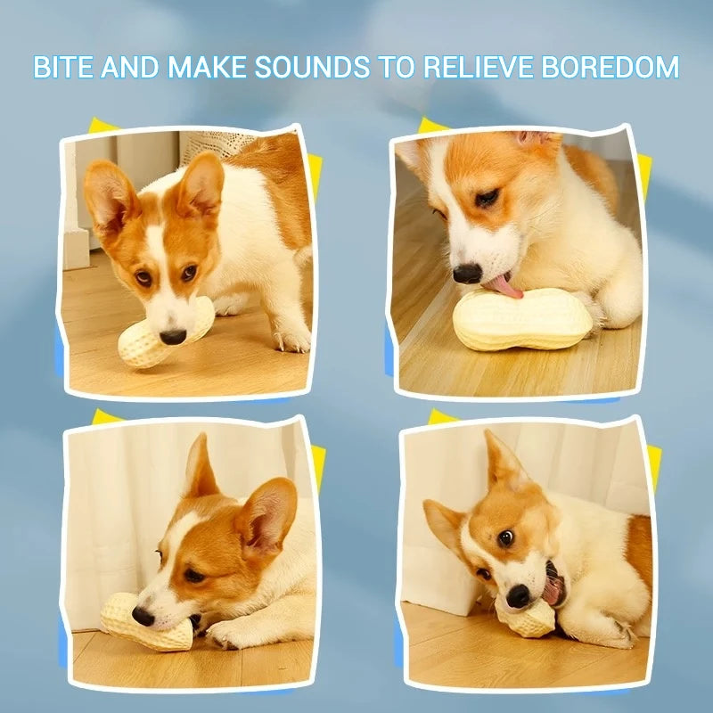 Peanut Squeaky Vegetable Dog Toy