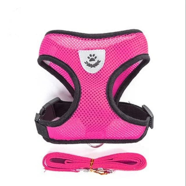 Retractable Dog Leash – 5m