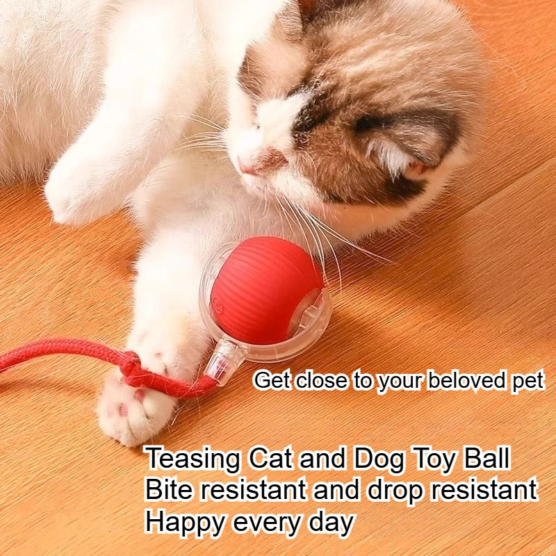Interactive Pet Ball Toy