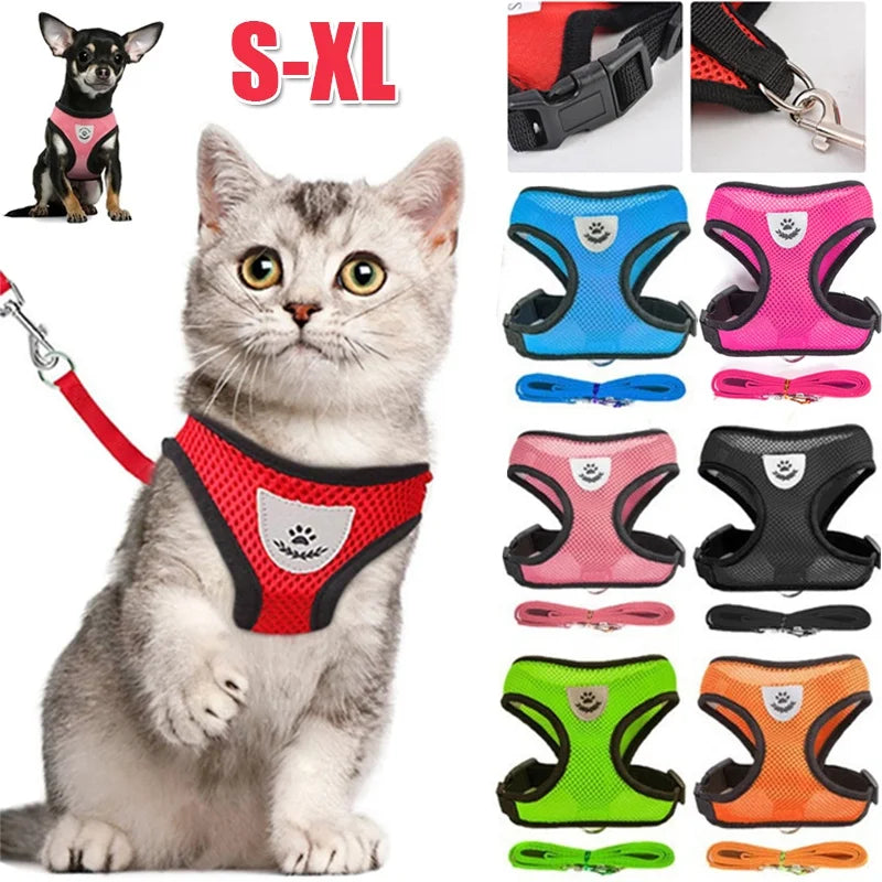 Retractable Dog Leash – 5m