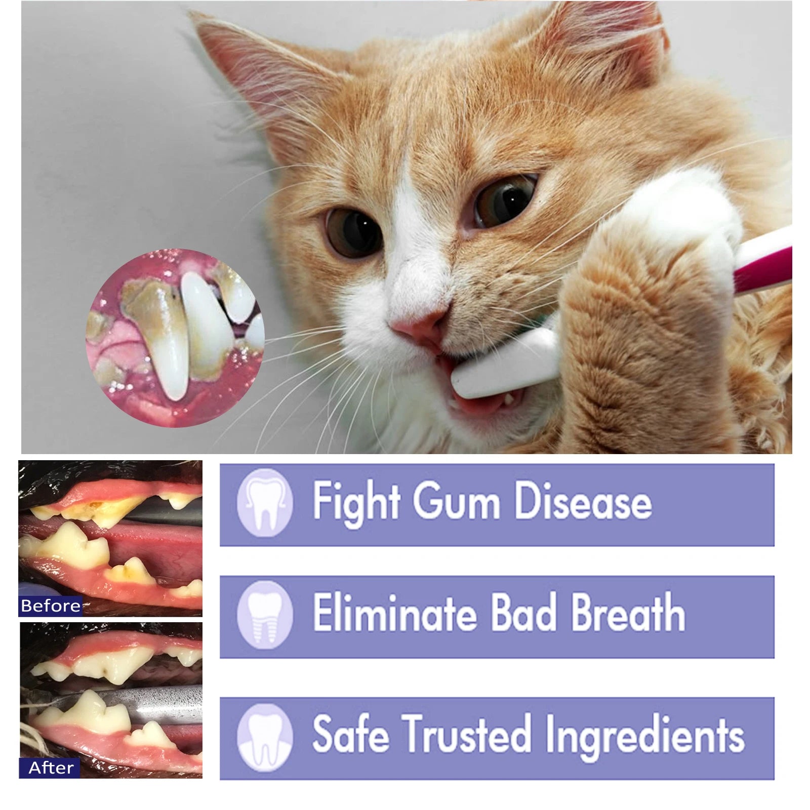 Pet Toothpaste – Tartar & Stain Remover