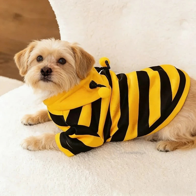 Bee Cosplay Sweater for Cats & Dogs