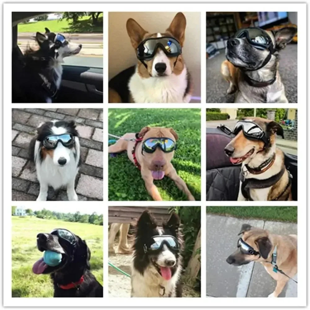 Dog Sunglasses