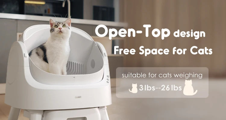 Self-Cleaning Bentonite Cat Litter Box