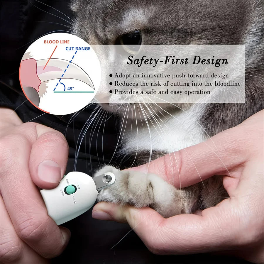 Electric Catnip Interactive Ball Toy