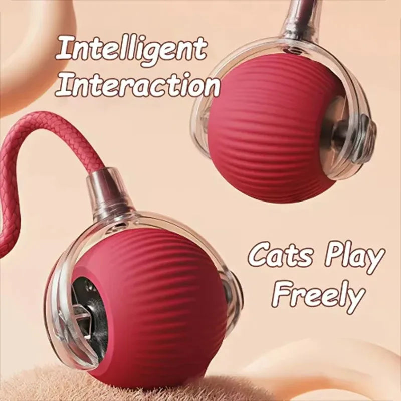 Interactive Pet Ball Toy