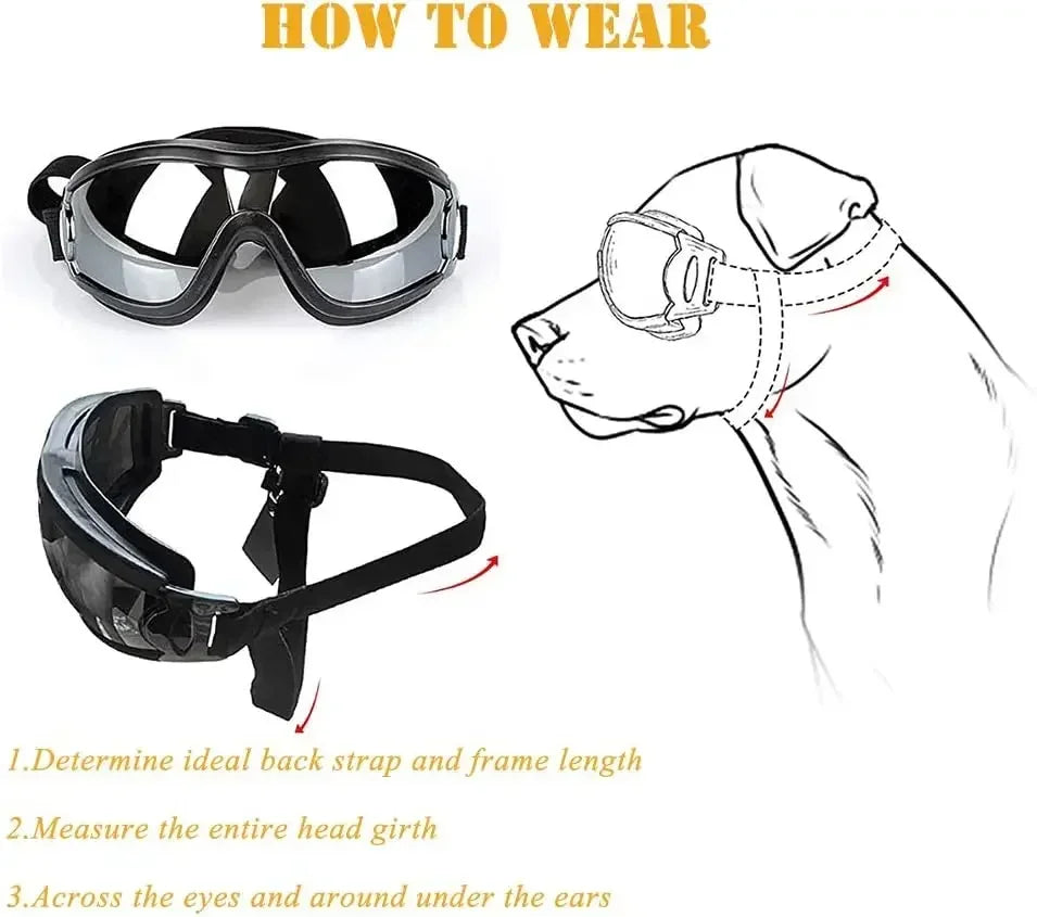 Dog Sunglasses