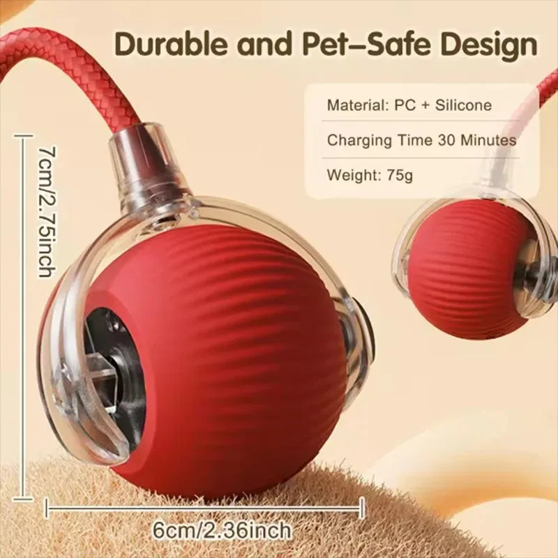Interactive Pet Ball Toy