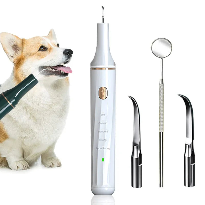 Electric Pet Teeth Cleaning Kit