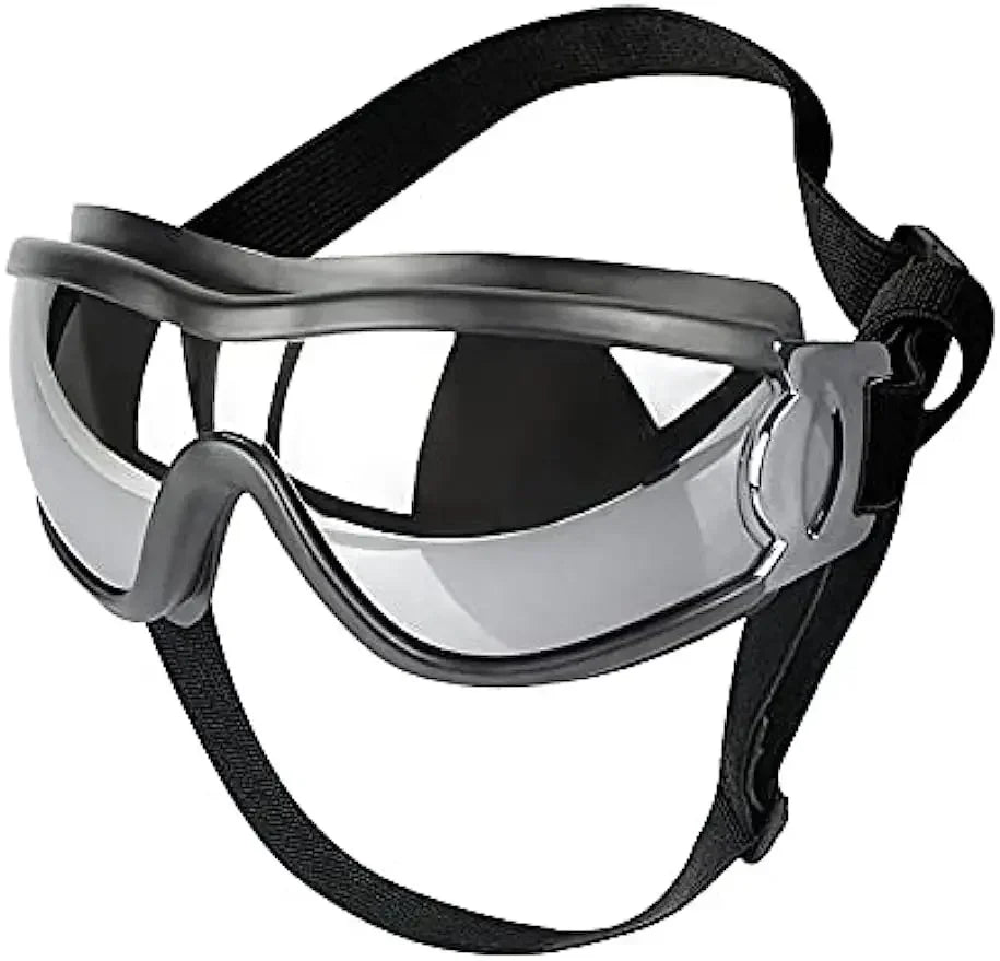 Dog Sunglasses