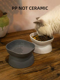 2-in-1 Pet Food & Water Bowl