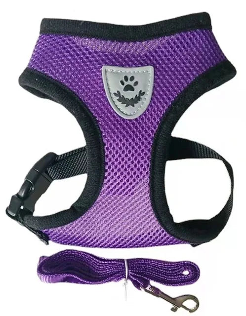 Retractable Dog Leash – 5m
