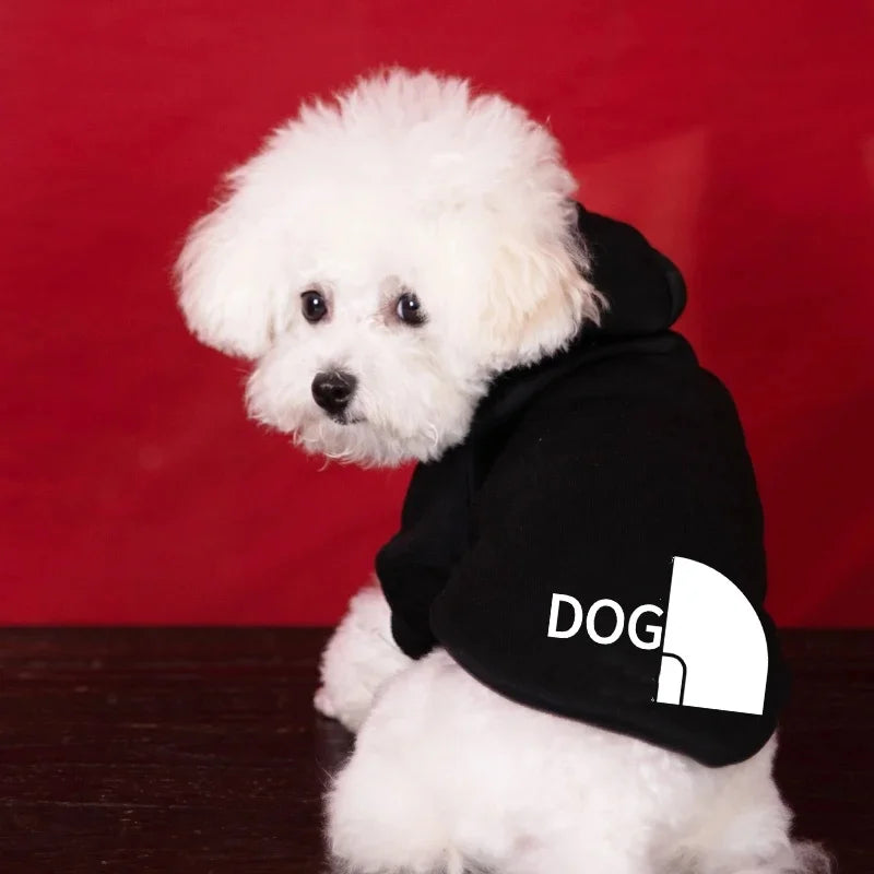 Cozy Puppy Sweater