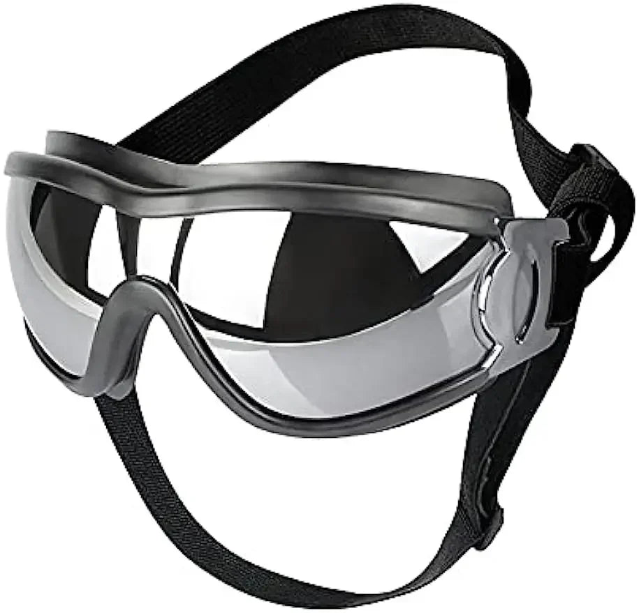 Dog Sunglasses