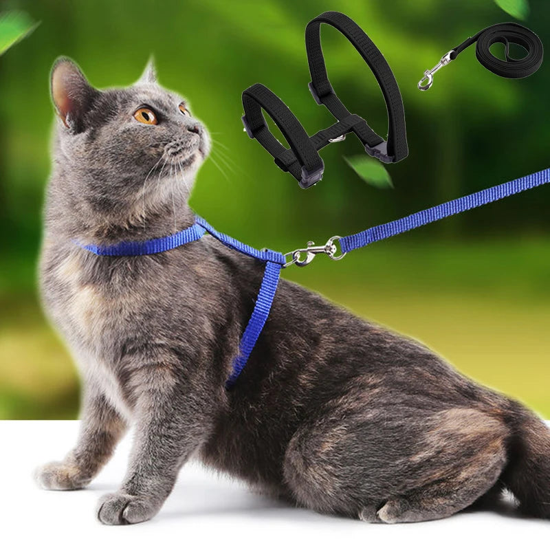 Adjustable Cat Harness & Leash Set