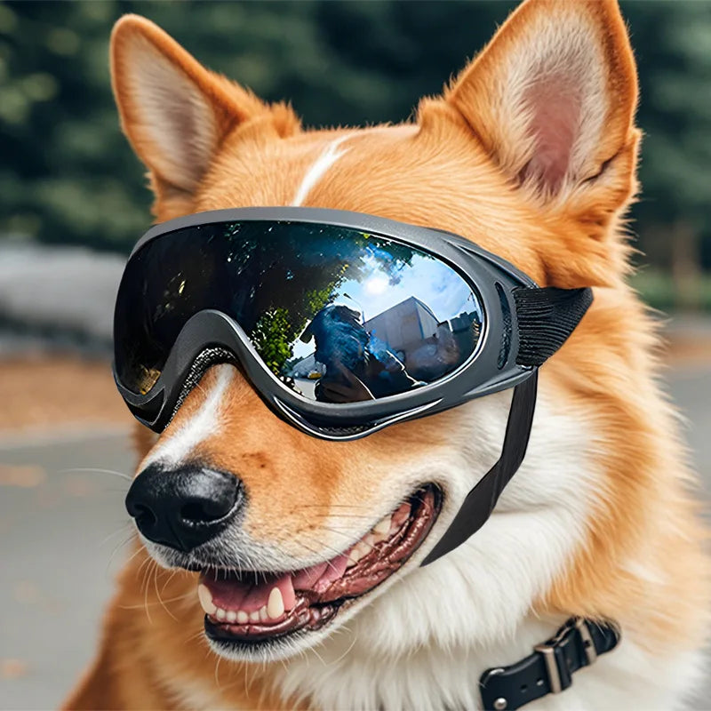 Dog Sunglasses – UV Protection
