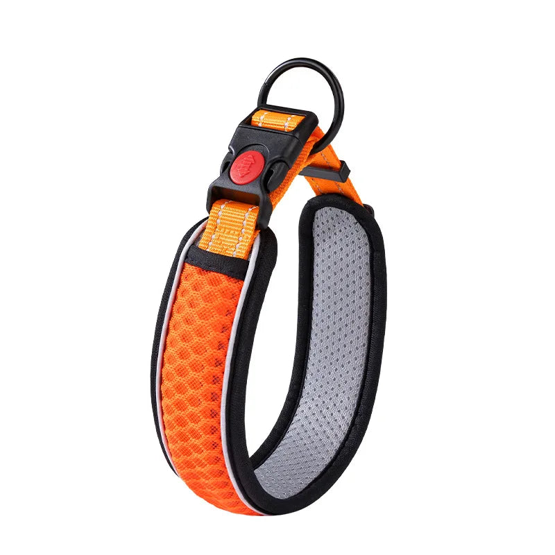Adjustable Dog Walking Collar & Leash