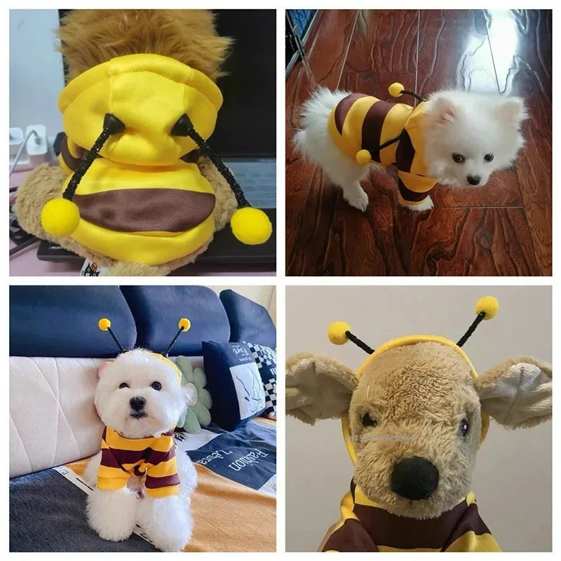 Bee Cosplay Sweater for Cats & Dogs
