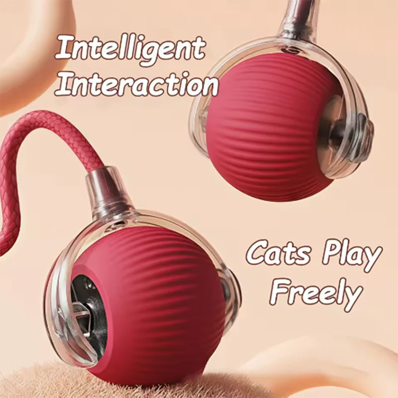Interactive Pet Ball Toy