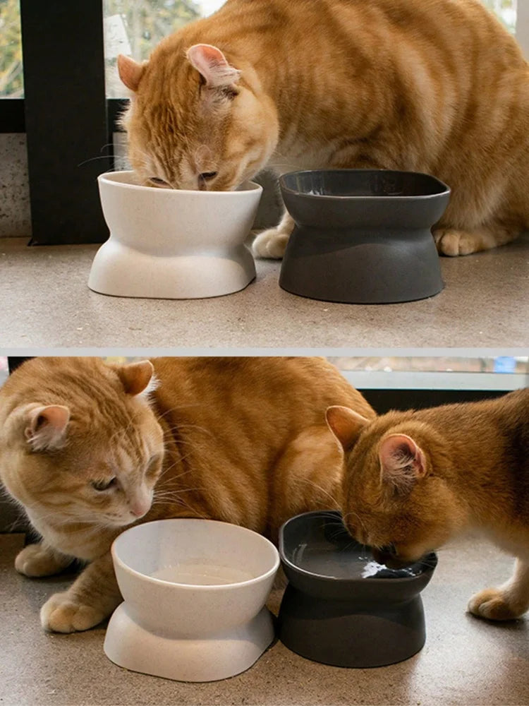 2-in-1 Pet Food & Water Bowl