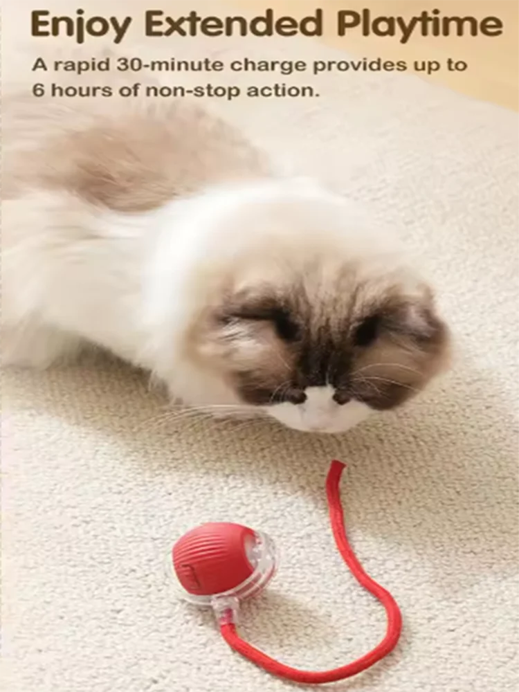 Interactive Pet Ball Toy