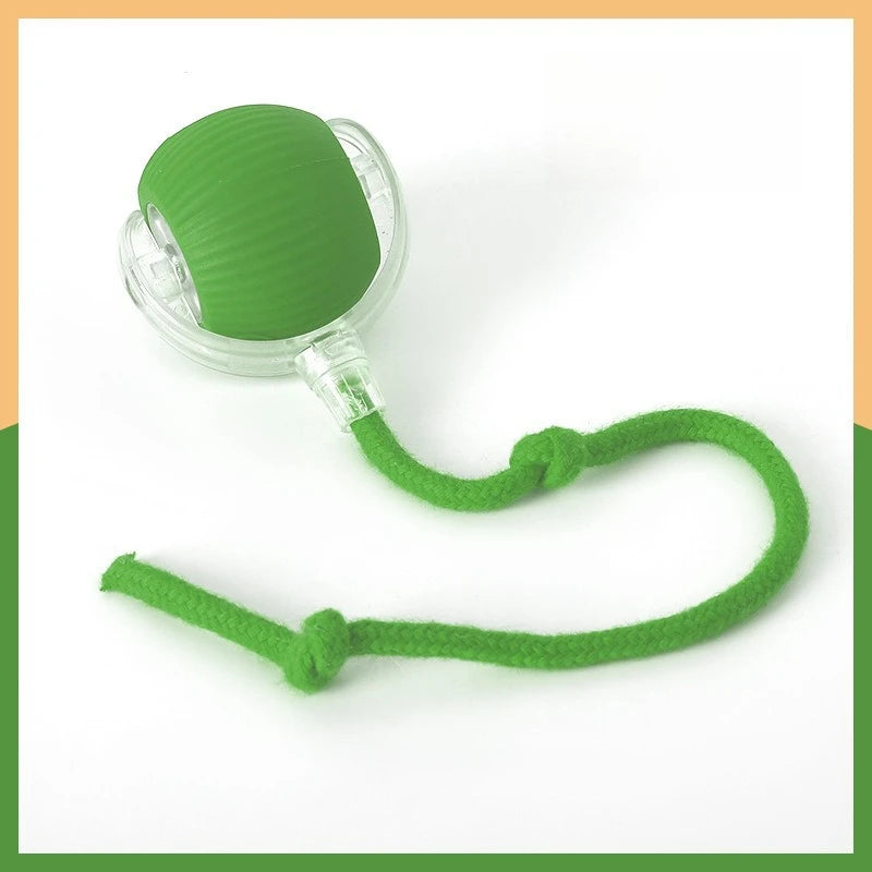 Interactive Pet Ball Toy