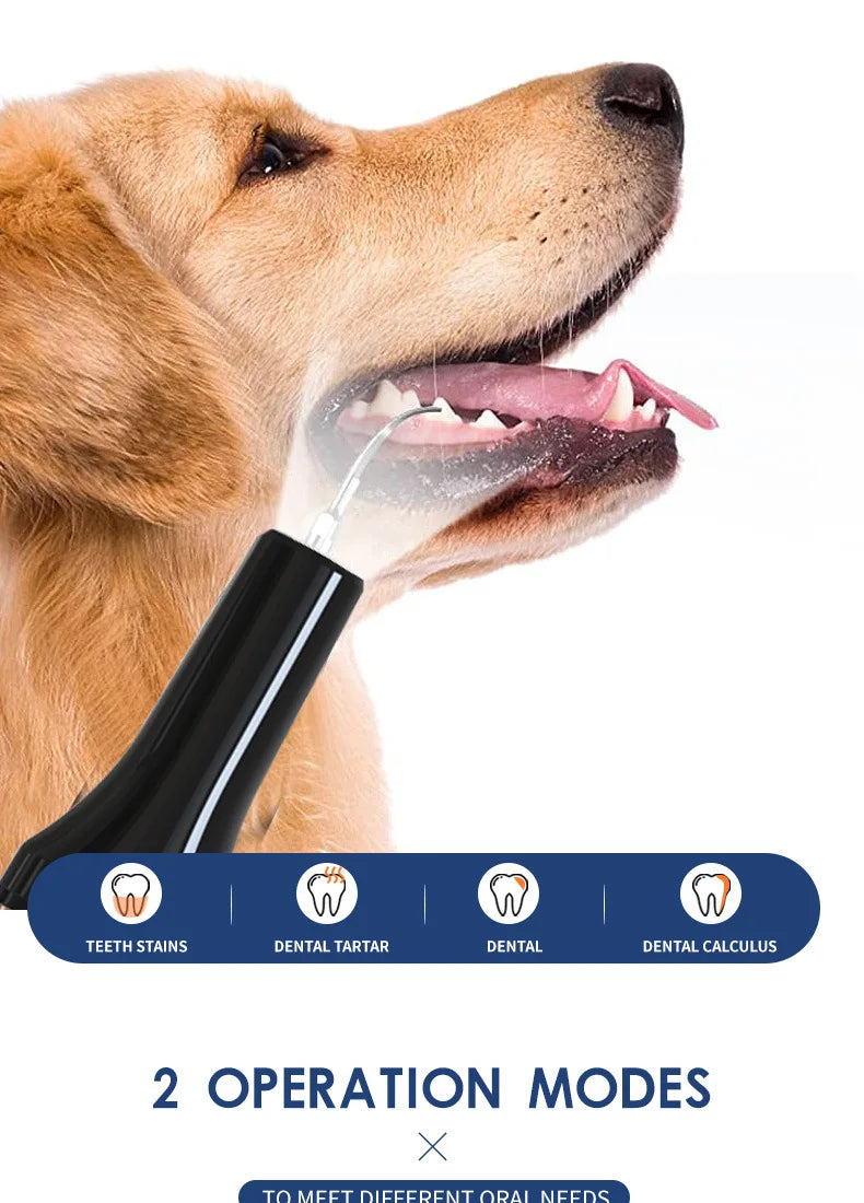 Electric Pet Teeth Cleaning Kit