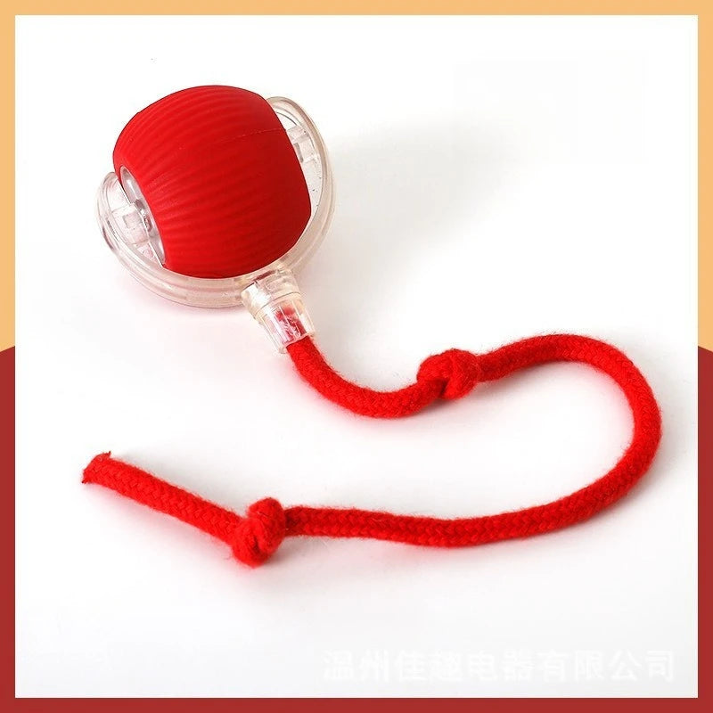 Interactive Pet Ball Toy