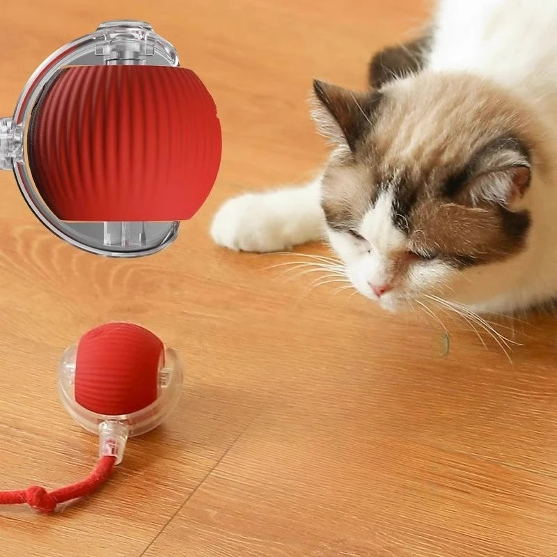 Interactive Pet Ball Toy