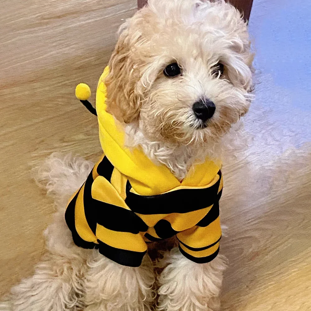 Bee Costume Hoodie for Cats & Dogs