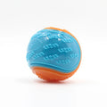 Squeaky TPR Ball Toy for Dogs