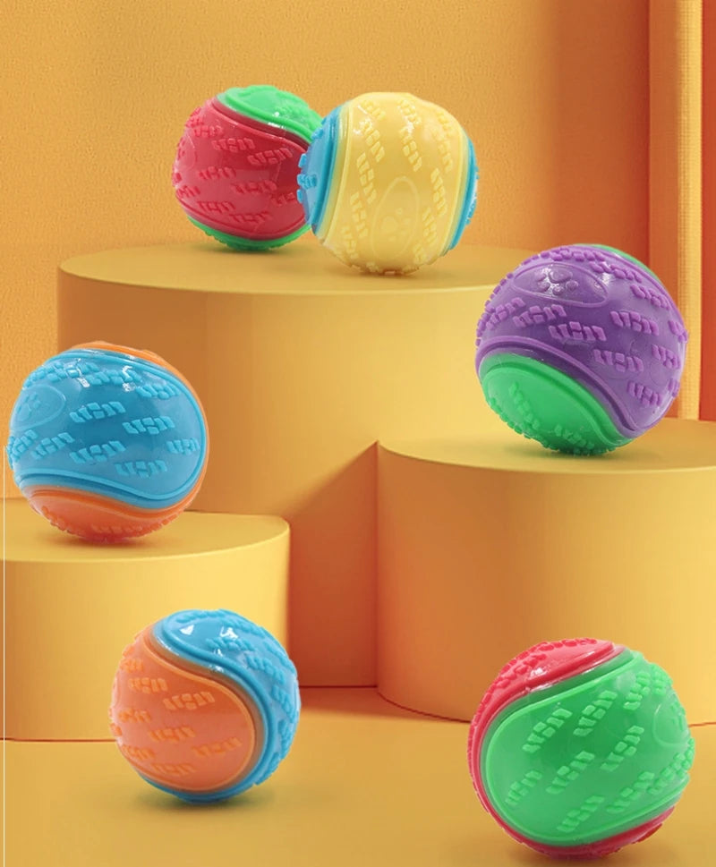 Squeaky TPR Ball Toy for Dogs