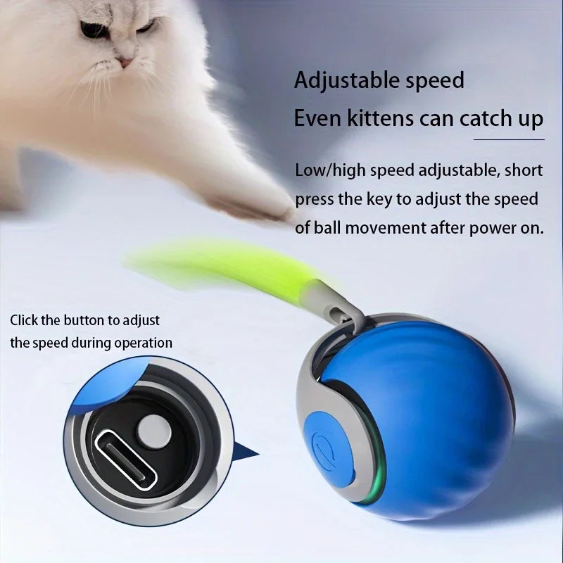 Electric Catnip Interactive Ball Toy