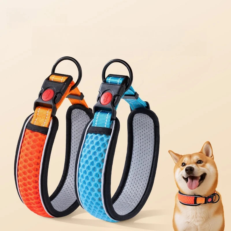 Adjustable Dog Walking Collar & Leash