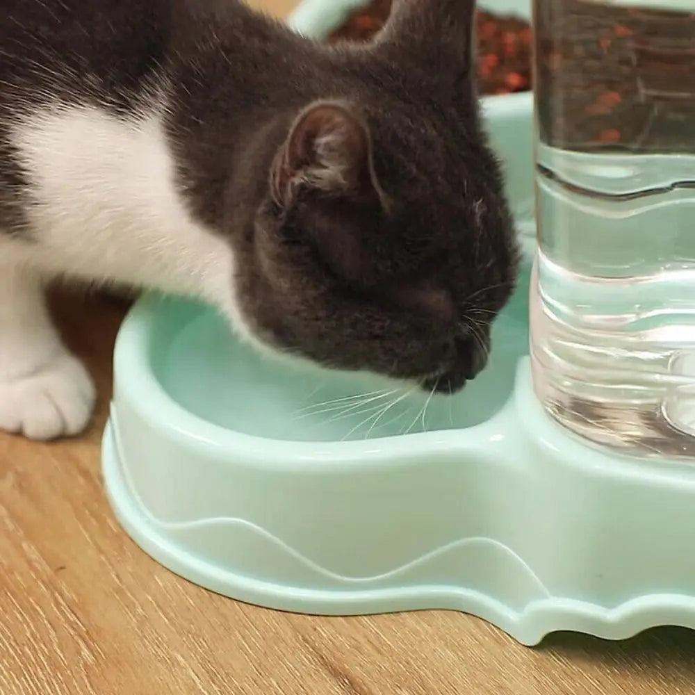 3.8L Automatic Pet Food Dispenser