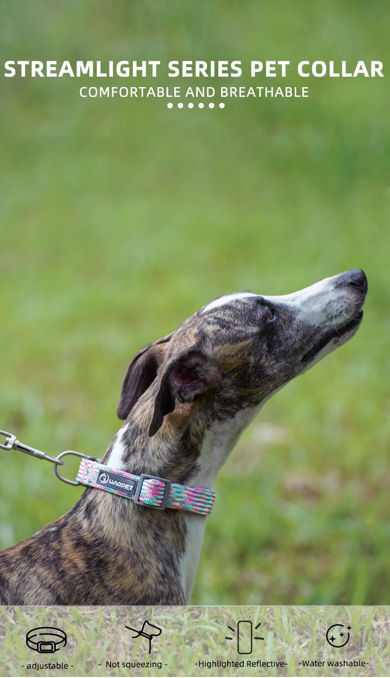 Dual-Handle Bungee Dog Leash
