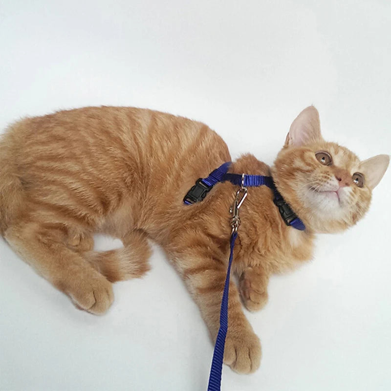 Adjustable Cat Harness & Leash Set