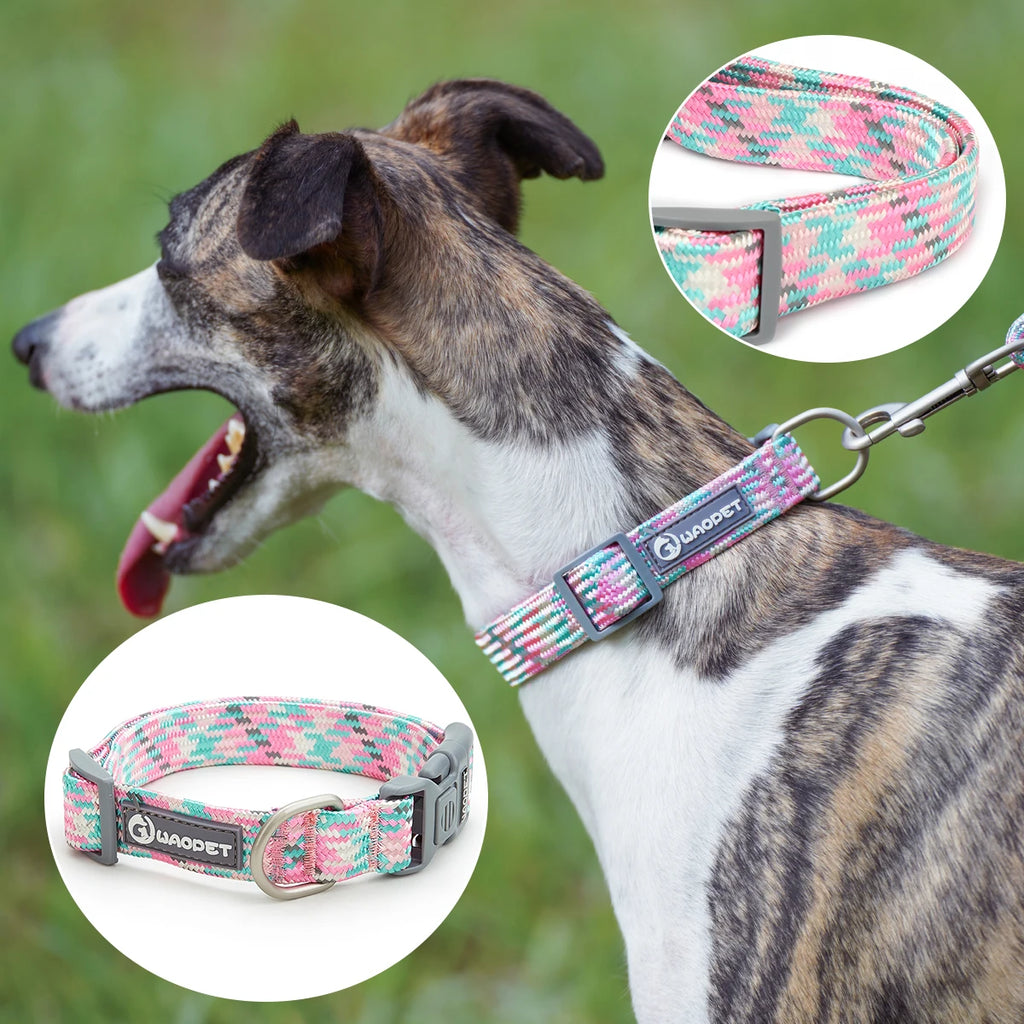 Dual-Handle Bungee Dog Leash