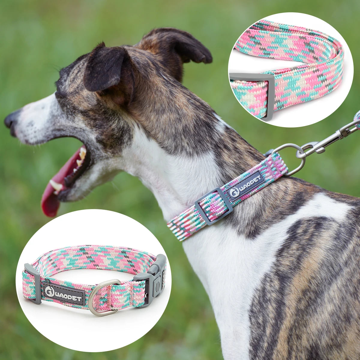 Dual-Handle Bungee Dog Leash