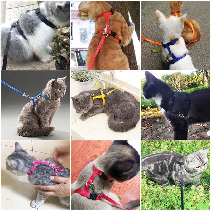 Adjustable Cat Harness & Leash Set