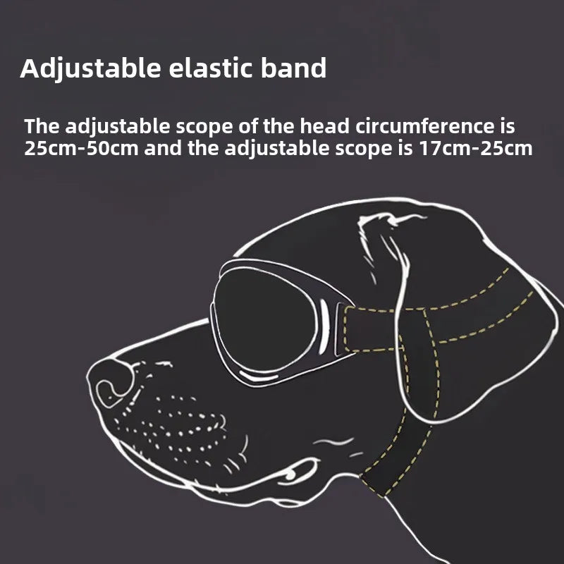 Dog Sunglasses – UV Protection